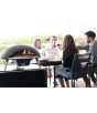 Turtle Motion - Gas Powered Pizza Oven